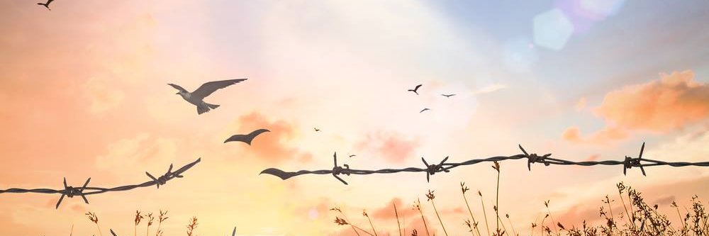 Knight2701's profile banner image