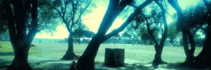chichi ¹²⁴'s banner