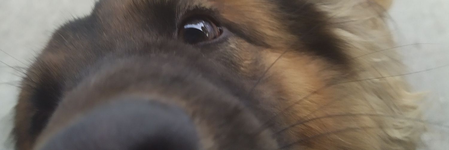 khrislr_'s profile banner image