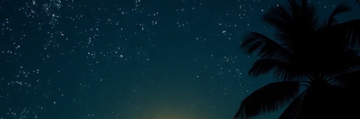 IO's banner