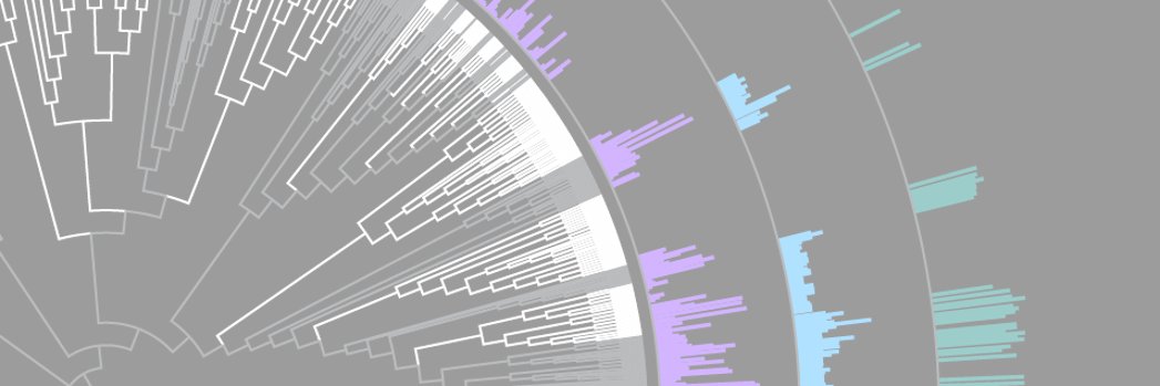 John R. Smith banner