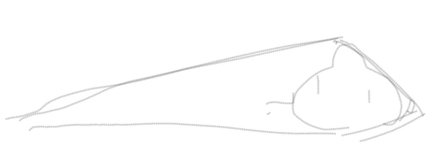 palmeri's banner