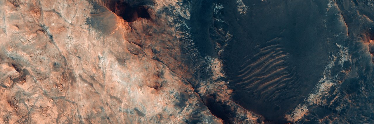 Xandor Schiefer banner