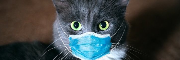 ChaCrocs's profile banner image