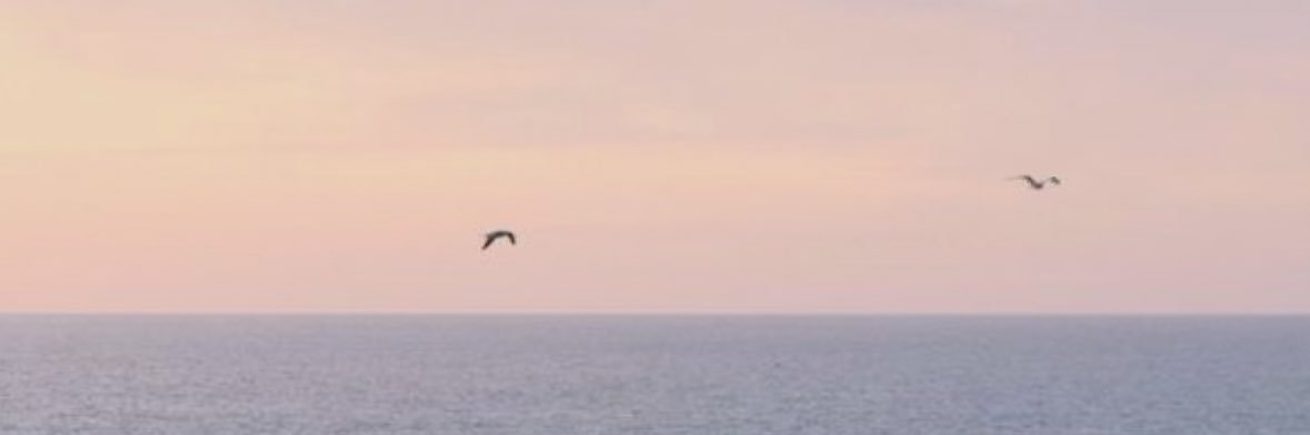 justcelestevibe's profile banner image