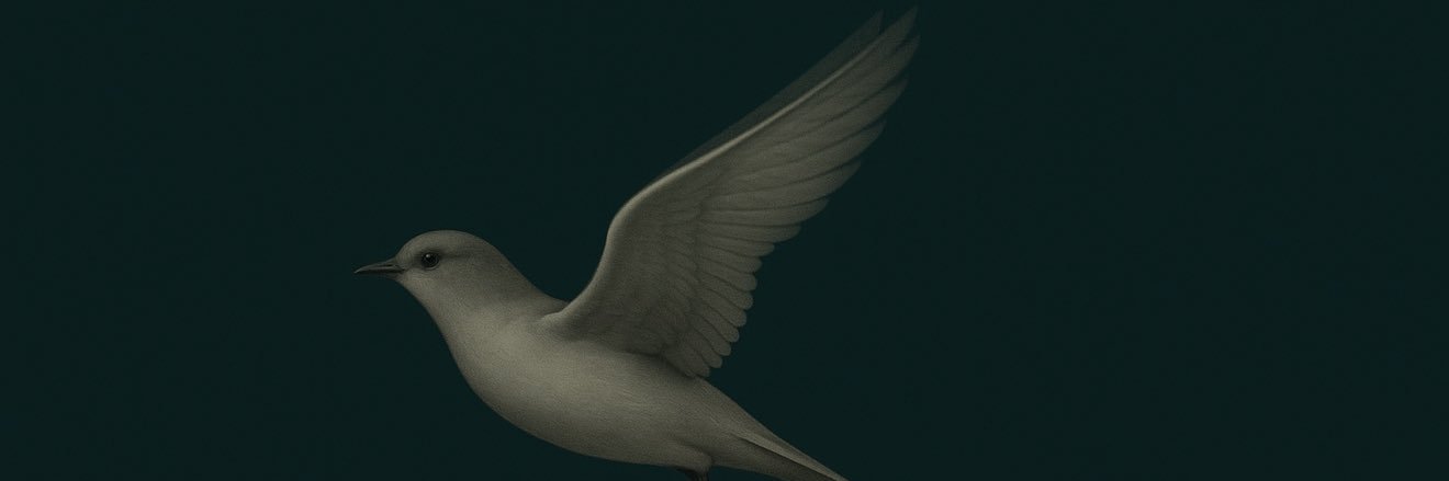 naveture's profile banner image