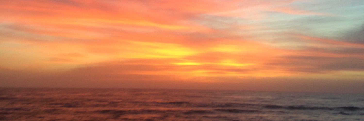 HalliGallo's profile banner image