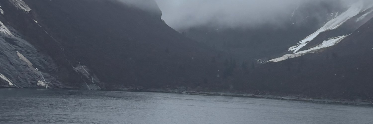 tehenikitehe's profile banner image