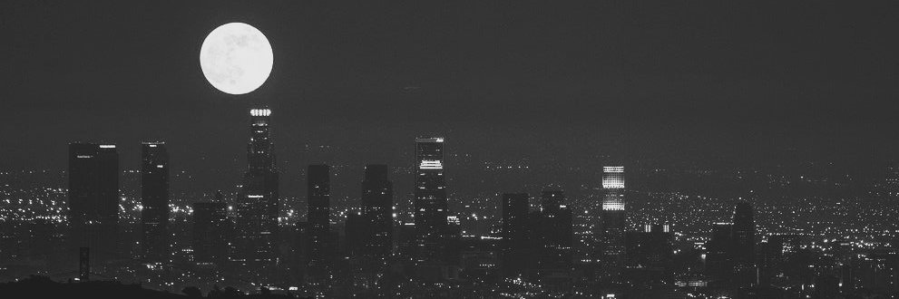Moo's banner