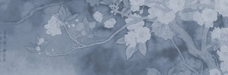 countfagula skibidi baby caitlyn's banner