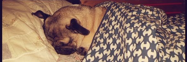 pablito_mai Profile Banner