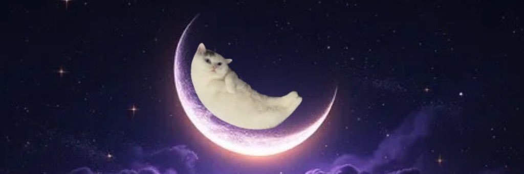 Mooncat's banner