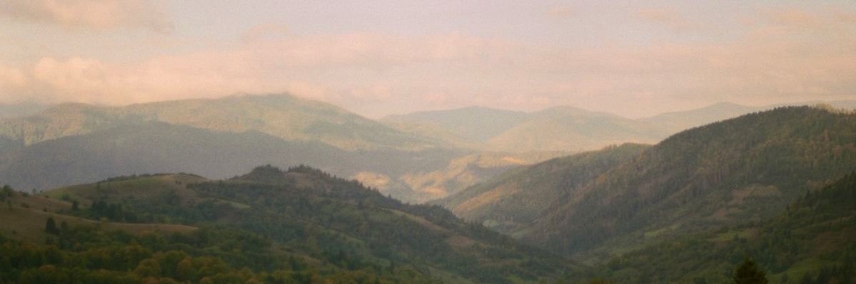 amalsayshello's profile banner image