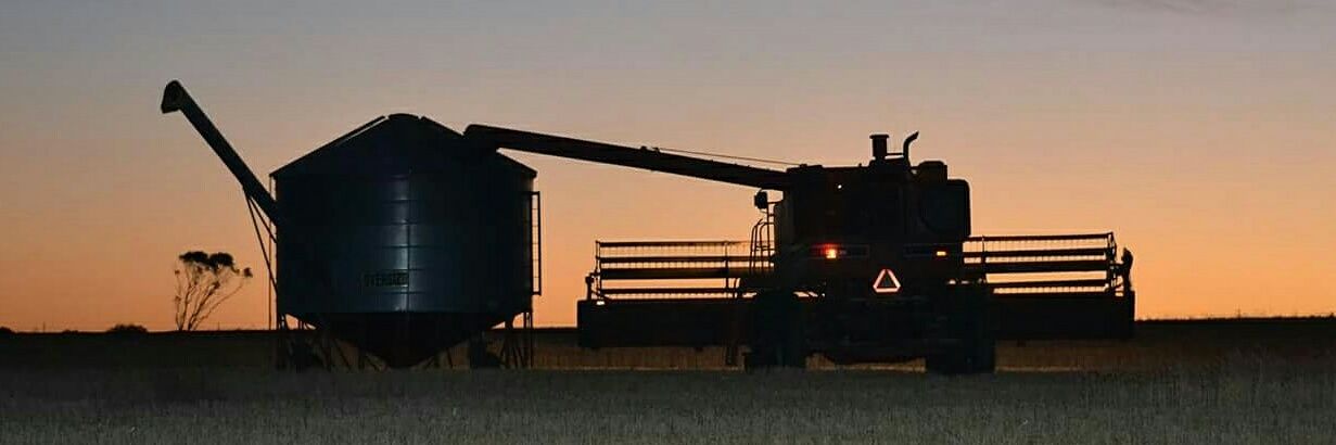 Ley Webster 🇦🇺🚜🌾 banner