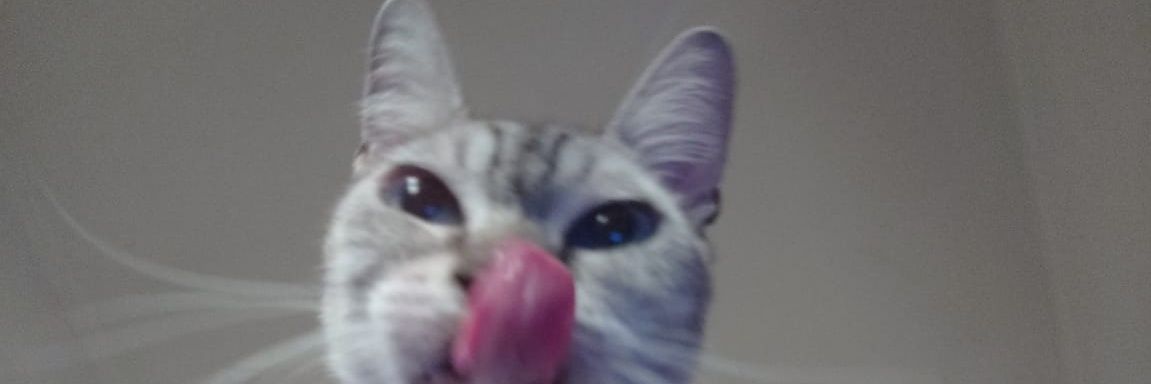 MECanteros's profile banner image