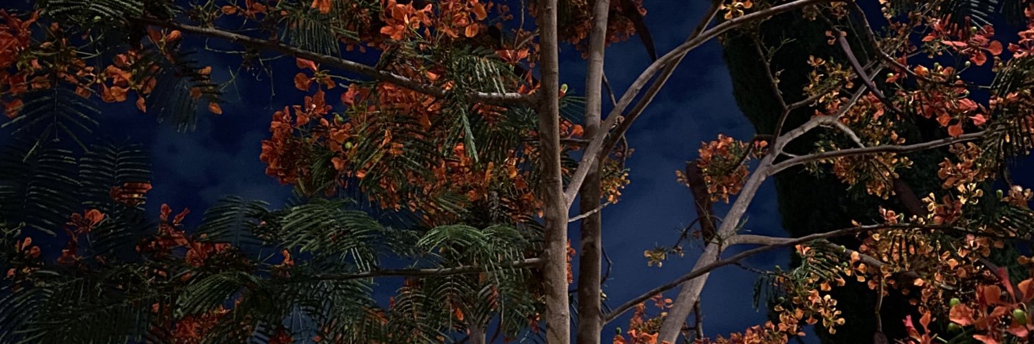 alejoilop's profile banner image
