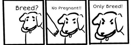 🔞⛓️Mistress Esther⛓️🏳️‍⚧️ banner