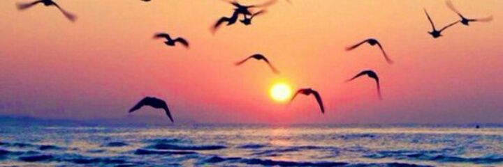 Valemarrero's profile banner image