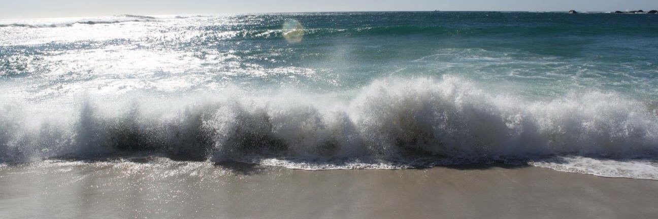 Sophie Langridge banner