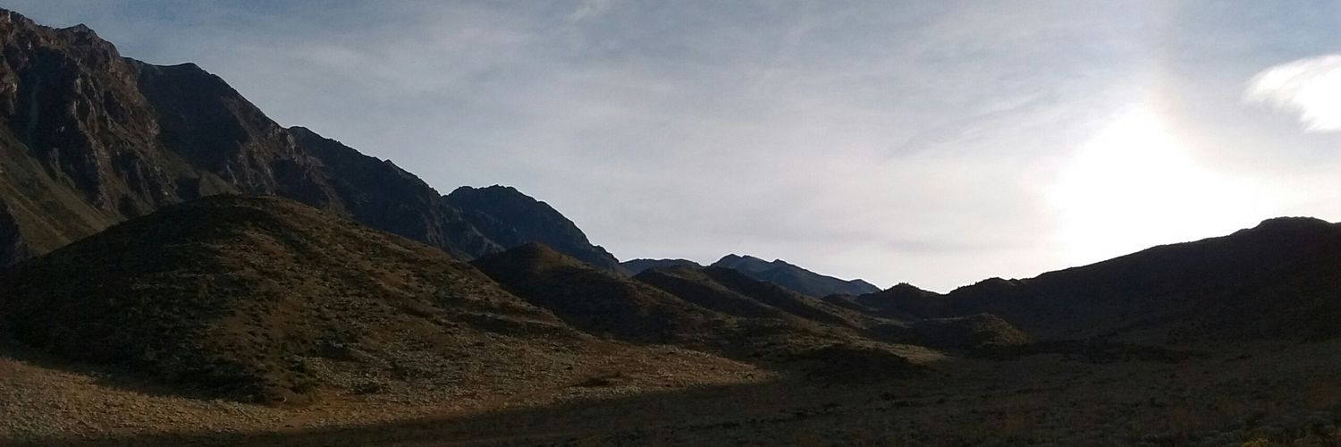 petitemdj's profile banner image