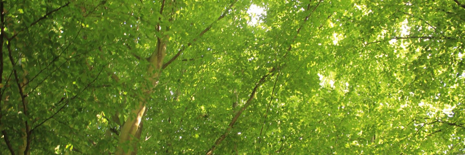 37_hr's profile banner image