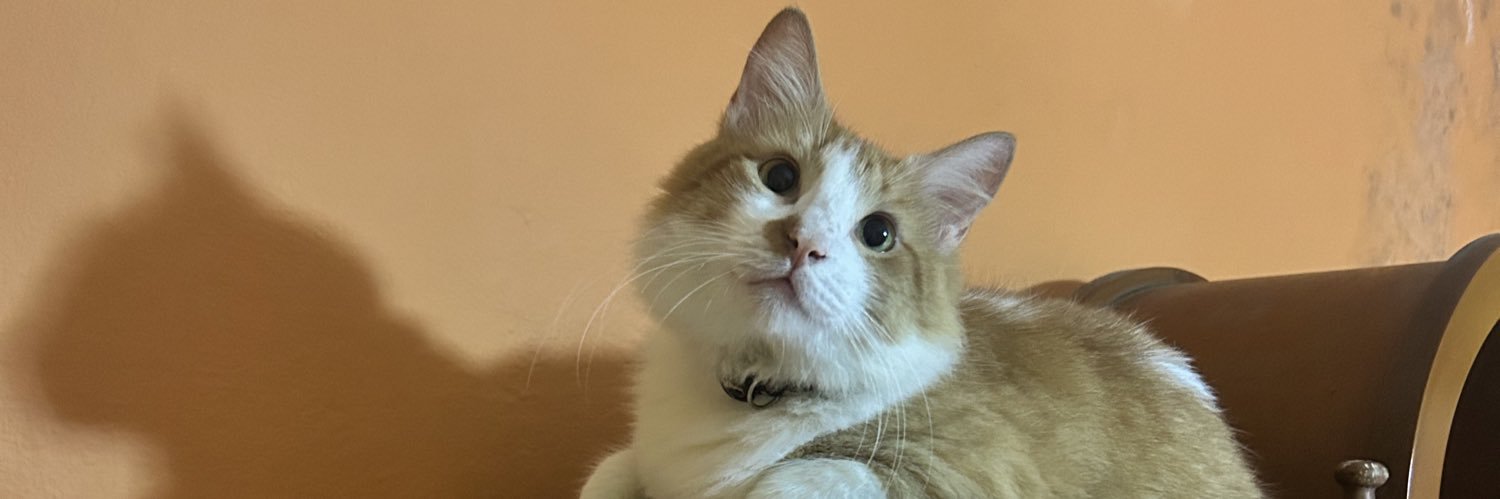 soficopete's profile banner image