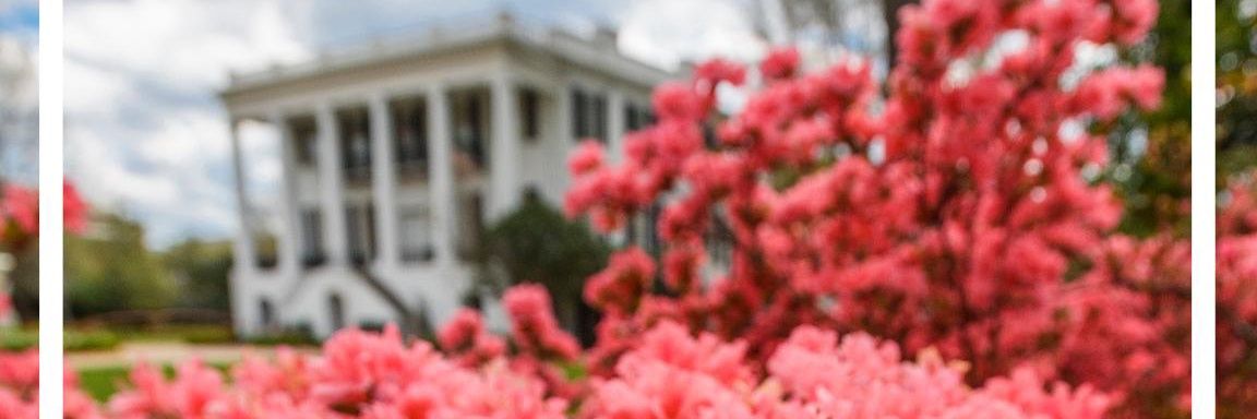 RollTideRaleigh's profile banner image