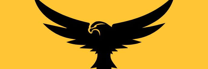 Crypto Falcon banner