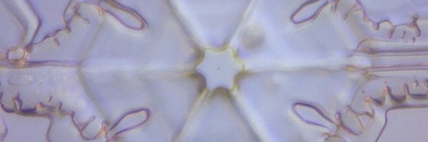 RFHanrahan Profile Banner