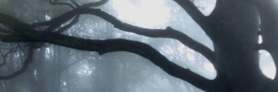 kylecbhewitt's profile banner image