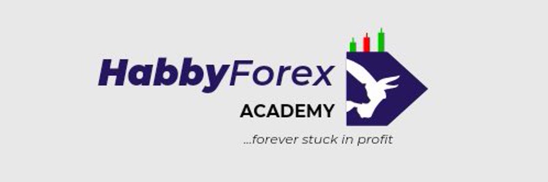 habyforex's profile banner image
