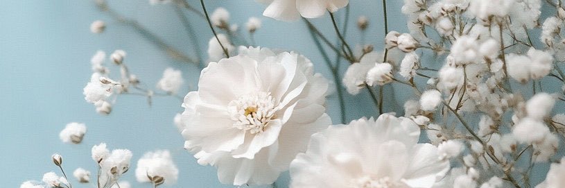 cha159__'s profile banner image
