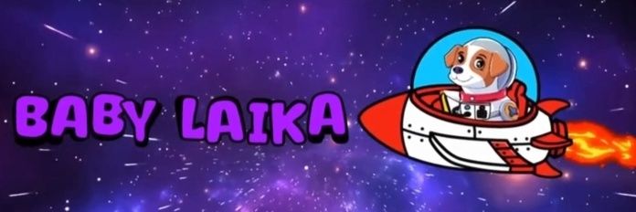 BaseBabyLaika's profile banner image