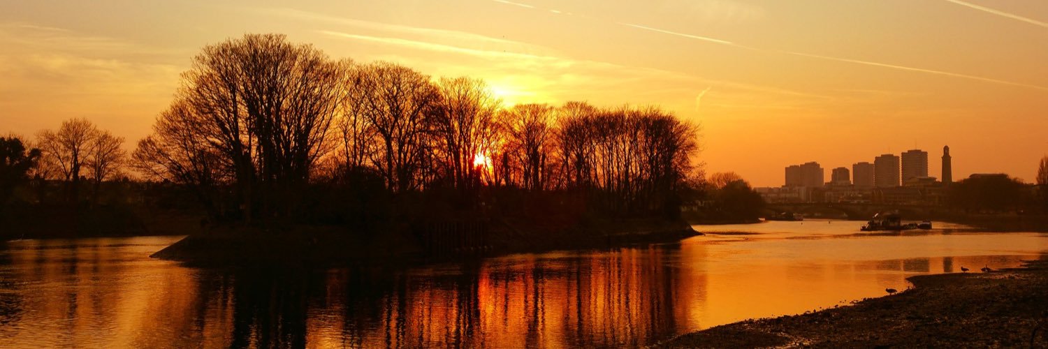 Diana C banner