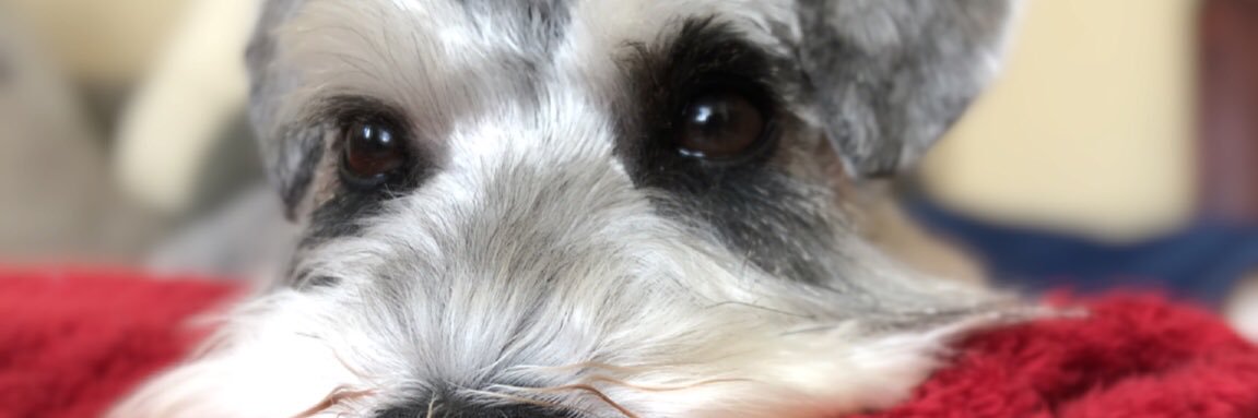 GaryC72's profile banner image