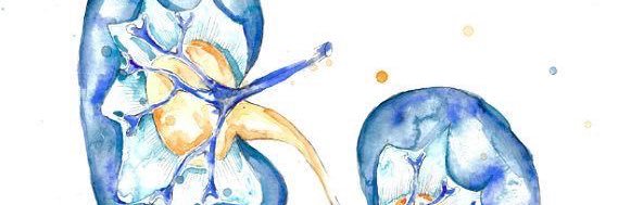 RHBcastillo's profile banner image
