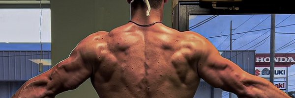 AlphaMatt Profile Banner