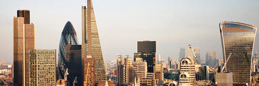 Brookie banner