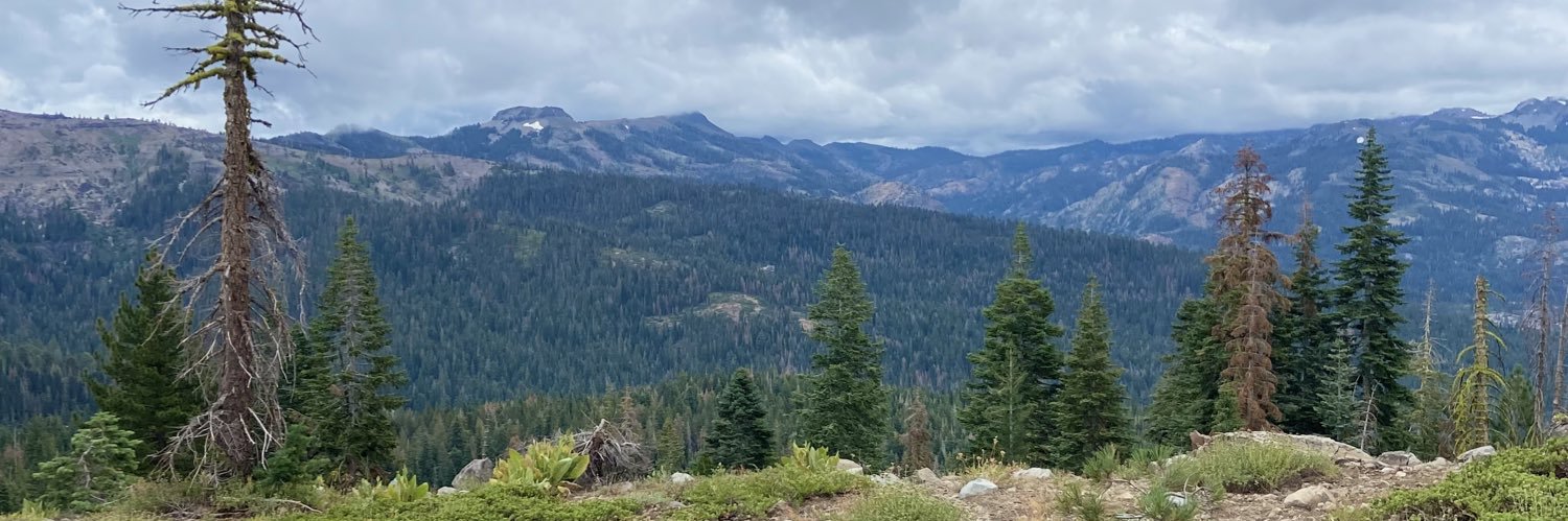 johnsonaudrey1's profile banner image