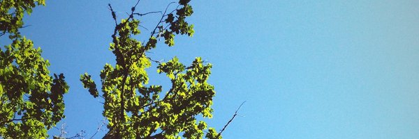 jeeffersonfss Profile Banner