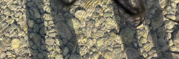 ifatiwll Profile Banner