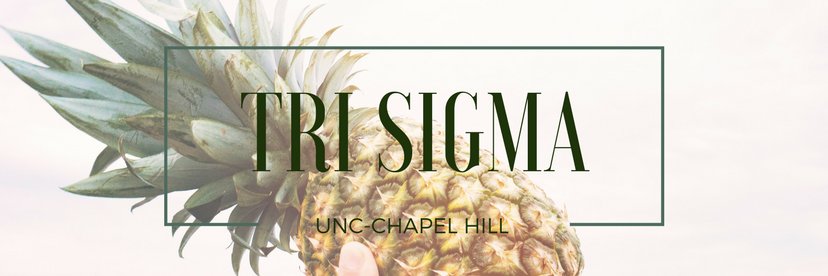 Tri Sigma UNC banner