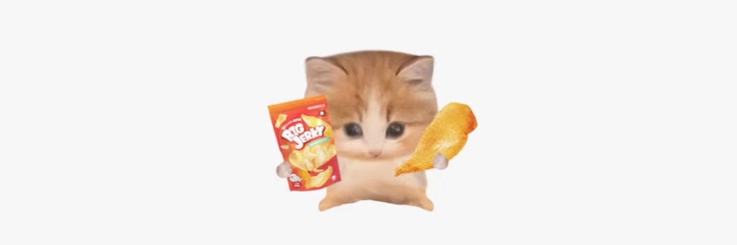 一粒猫小檬（众筹火烧凹凸曼版） banner