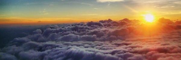 iflamingoo's profile banner image