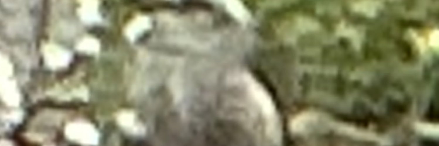 aaatbaaa's profile banner image