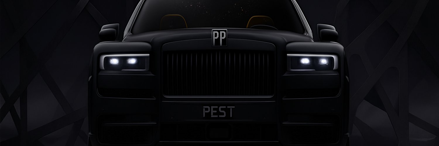 Petty Pest 🪳's banner