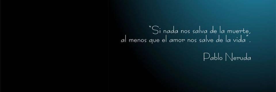 Sandra B Ceballos banner