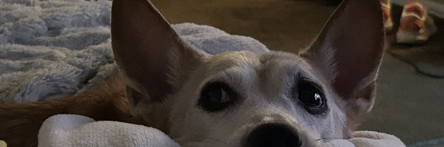 notagainCJ banner