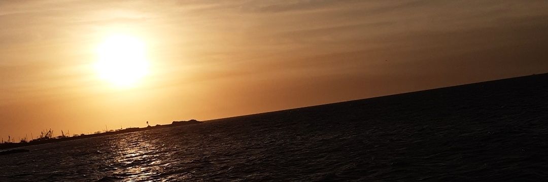 Lio Ⓜ️ banner