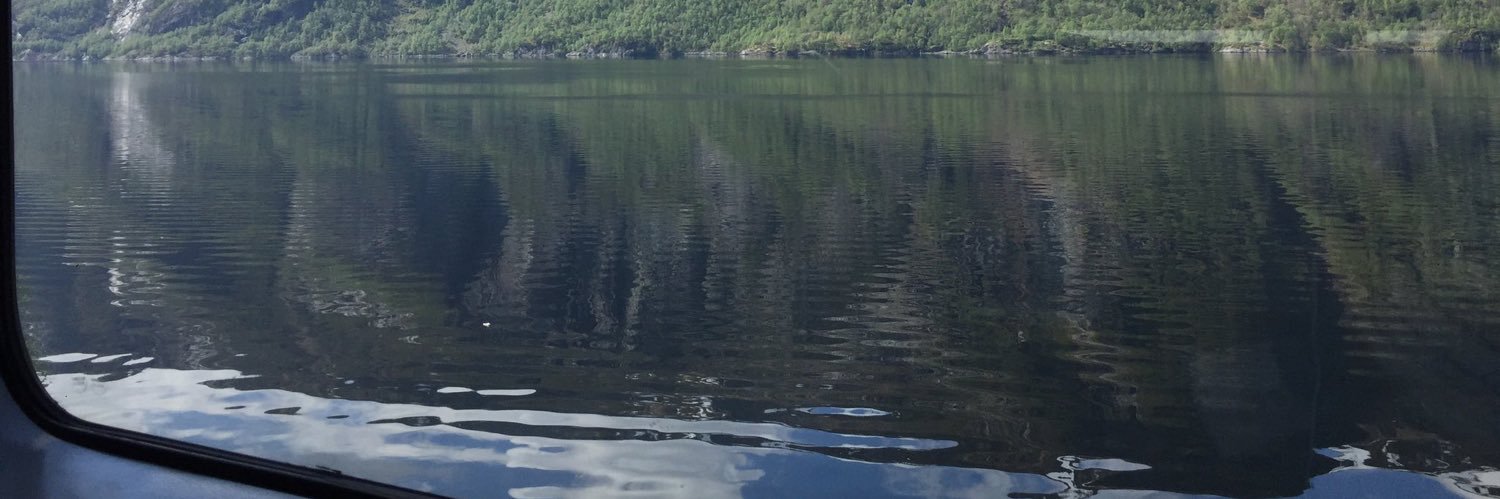 Damo Chan 🇳🇬🇳🇬 banner